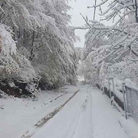 Hotel Uludag Ve Bursa Manzarali Lueks Dag Evi Yildirim