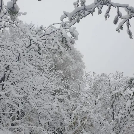 Uludag Ve Bursa Manzarali Lueks Dag Evi Yildirim
